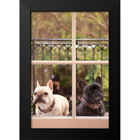 A Dogs Life II Black Modern Wood Framed Art Print by Millet, Karyn
