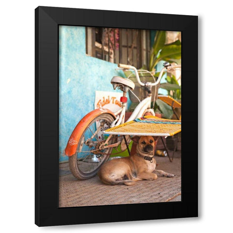 A Dogs Life IV Black Modern Wood Framed Art Print with Double Matting by Millet, Karyn