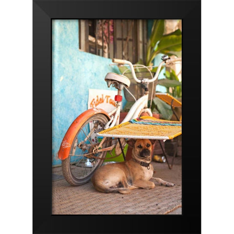A Dogs Life IV Black Modern Wood Framed Art Print by Millet, Karyn