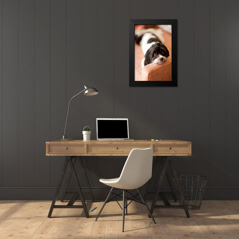 A Dogs Life V Black Modern Wood Framed Art Print by Millet, Karyn