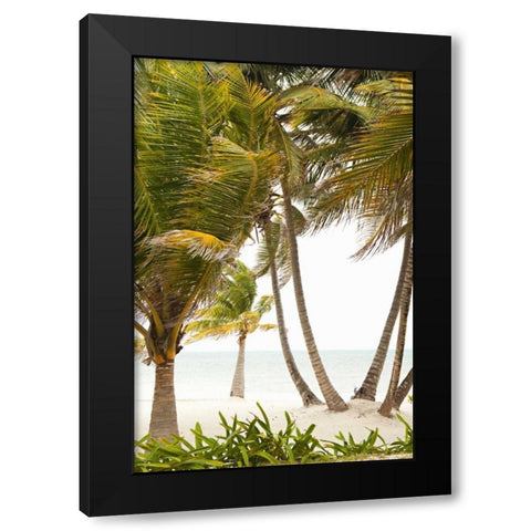 Tropical Oasis II Black Modern Wood Framed Art Print with Double Matting by Millet, Karyn