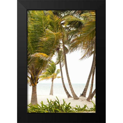 Tropical Oasis II Black Modern Wood Framed Art Print by Millet, Karyn