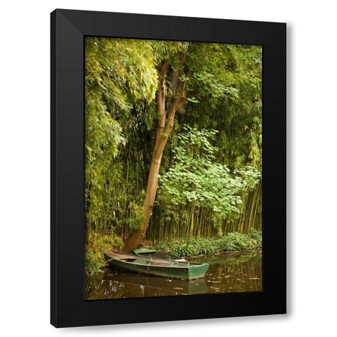 Tropical Oasis IV Black Modern Wood Framed Art Print by Millet, Karyn