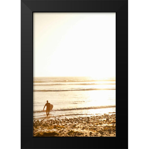 Tropical Oasis VI Black Modern Wood Framed Art Print by Millet, Karyn