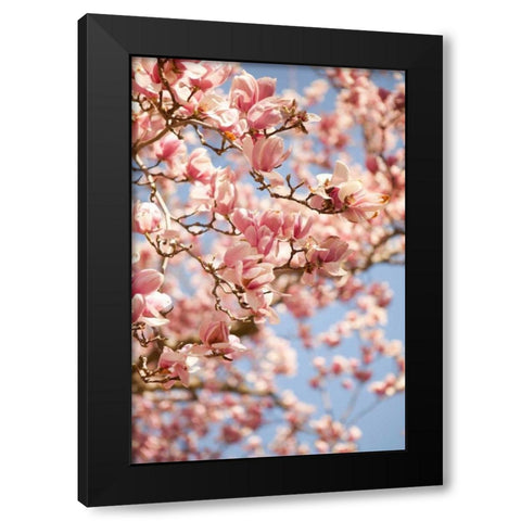 In Bloom III Black Modern Wood Framed Art Print by Millet, Karyn