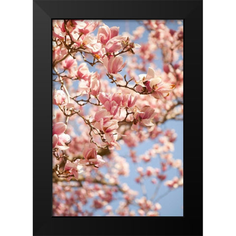 In Bloom III Black Modern Wood Framed Art Print by Millet, Karyn