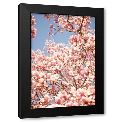 In Bloom IV Black Modern Wood Framed Art Print by Millet, Karyn