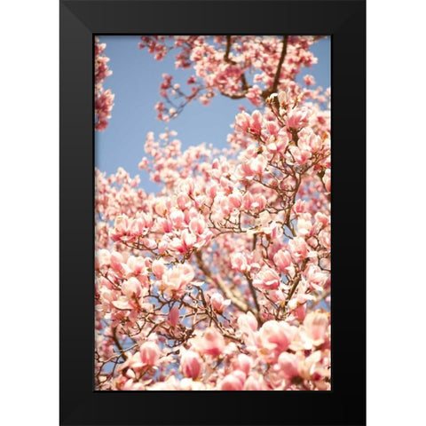 In Bloom IV Black Modern Wood Framed Art Print by Millet, Karyn