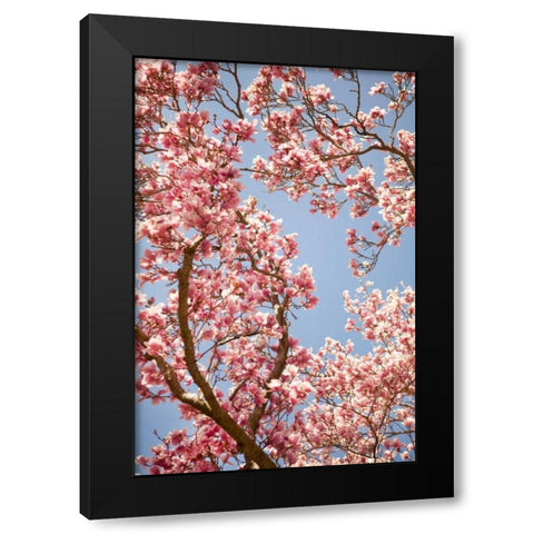 In Bloom V Black Modern Wood Framed Art Print by Millet, Karyn