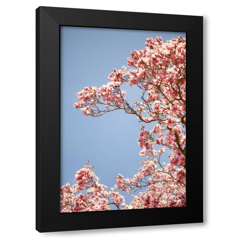In Bloom VI Black Modern Wood Framed Art Print by Millet, Karyn