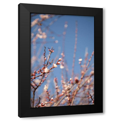 In Bloom IX Black Modern Wood Framed Art Print with Double Matting by Millet, Karyn