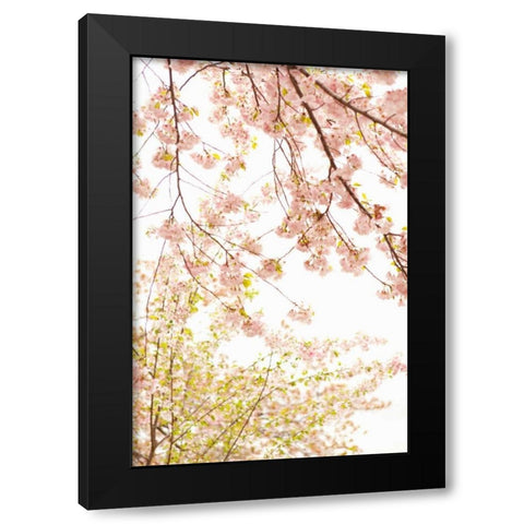 In Bloom XIX Black Modern Wood Framed Art Print with Double Matting by Millet, Karyn