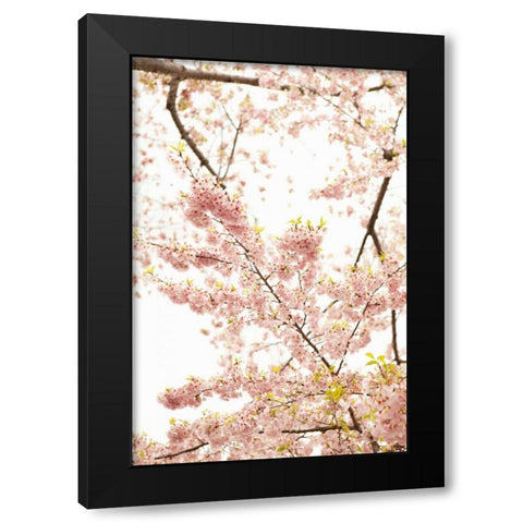 In Bloom XXI Black Modern Wood Framed Art Print with Double Matting by Millet, Karyn