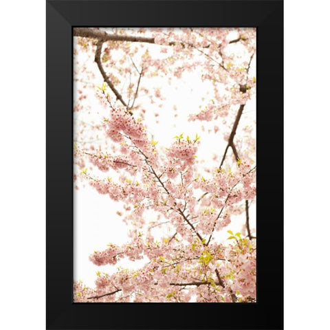 In Bloom XXI Black Modern Wood Framed Art Print by Millet, Karyn
