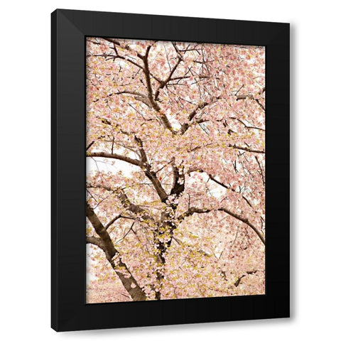 In Bloom XXII Black Modern Wood Framed Art Print by Millet, Karyn