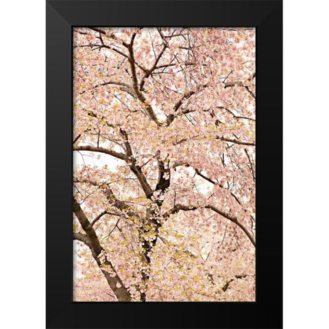 In Bloom XXII Black Modern Wood Framed Art Print by Millet, Karyn