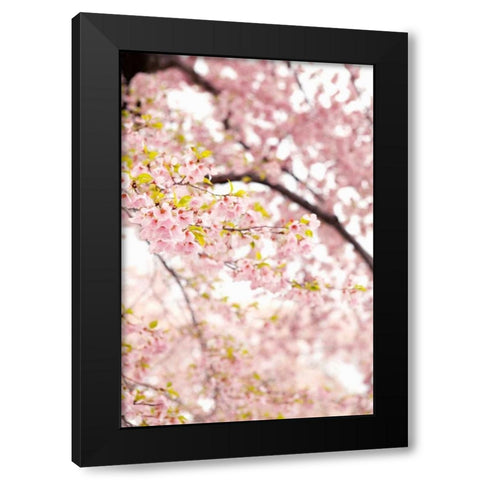 In Bloom XXIII Black Modern Wood Framed Art Print by Millet, Karyn