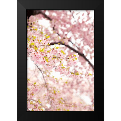 In Bloom XXIII Black Modern Wood Framed Art Print by Millet, Karyn