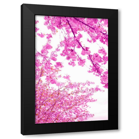 Bright Blooms I Black Modern Wood Framed Art Print with Double Matting by Millet, Karyn