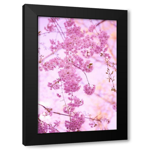Bright Blooms III Black Modern Wood Framed Art Print by Millet, Karyn