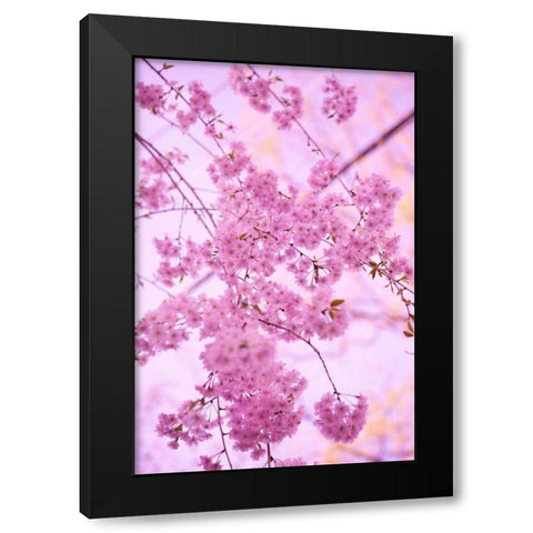 Bright Blooms IV Black Modern Wood Framed Art Print by Millet, Karyn