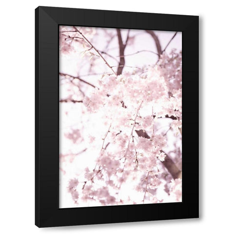 Soft Blooms I Black Modern Wood Framed Art Print by Millet, Karyn