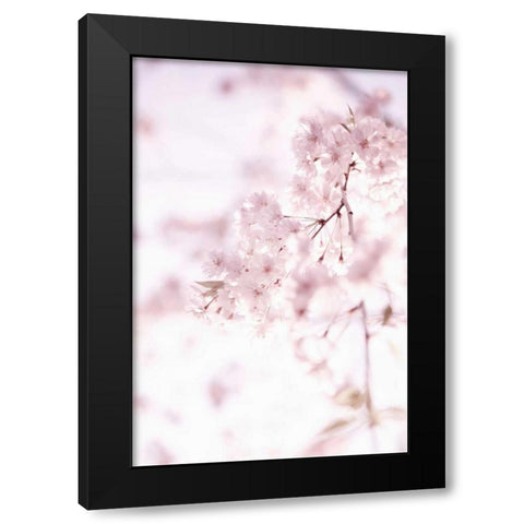 Soft Blooms II Black Modern Wood Framed Art Print by Millet, Karyn