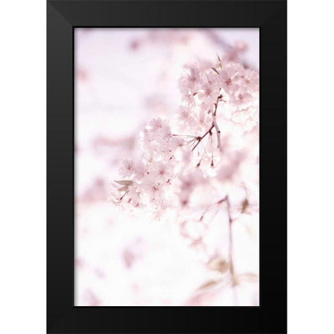Soft Blooms II Black Modern Wood Framed Art Print by Millet, Karyn