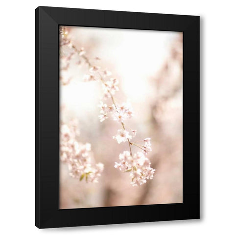 Soft Blooms III Black Modern Wood Framed Art Print by Millet, Karyn