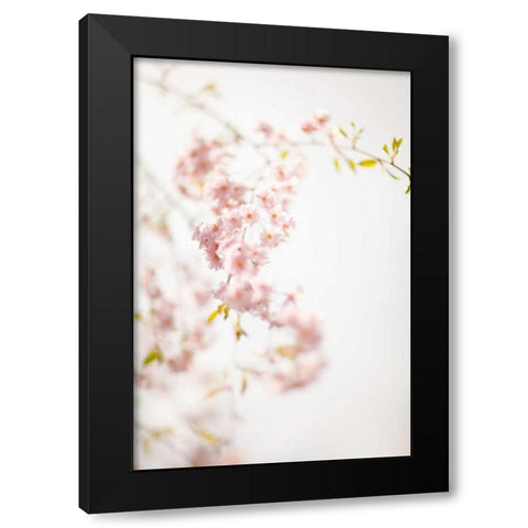 Soft Blooms IV Black Modern Wood Framed Art Print by Millet, Karyn