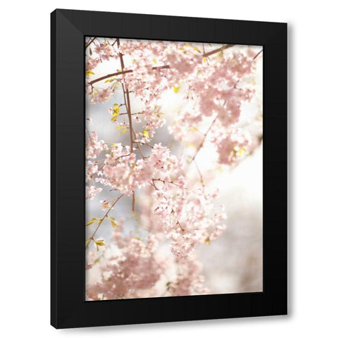 Soft Blooms V Black Modern Wood Framed Art Print by Millet, Karyn
