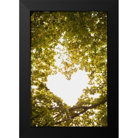 Heart in the Trees II Black Modern Wood Framed Art Print by Millet, Karyn