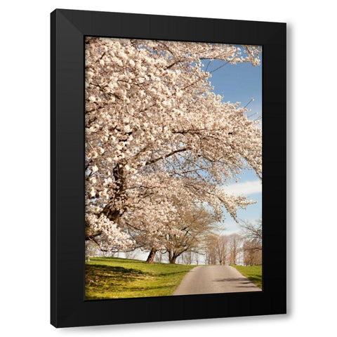 In the Park I Black Modern Wood Framed Art Print with Double Matting by Millet, Karyn