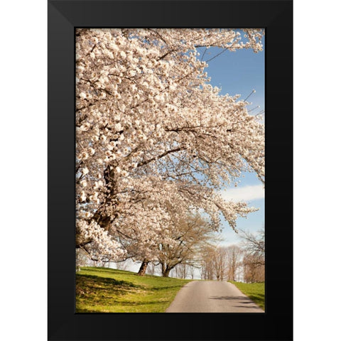 In the Park I Black Modern Wood Framed Art Print by Millet, Karyn