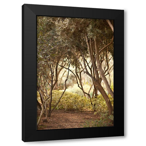Secret Garden I Black Modern Wood Framed Art Print with Double Matting by Millet, Karyn