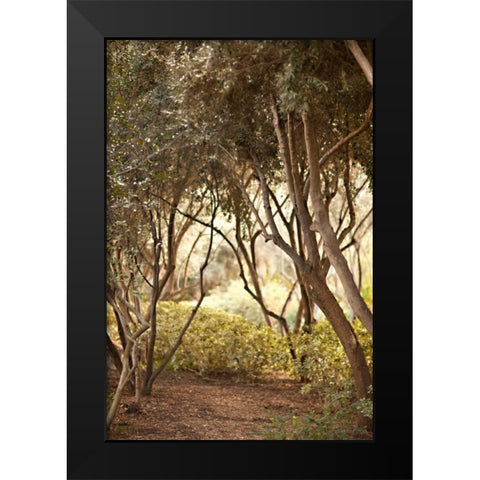 Secret Garden I Black Modern Wood Framed Art Print by Millet, Karyn