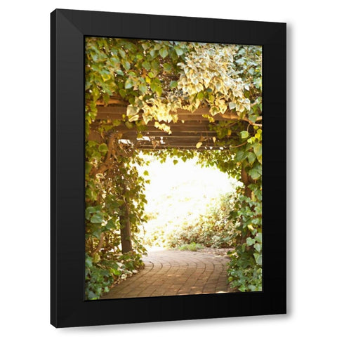 Secret Garden II Black Modern Wood Framed Art Print with Double Matting by Millet, Karyn