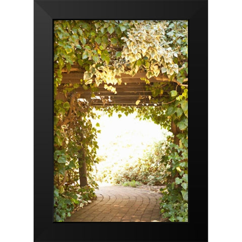 Secret Garden II Black Modern Wood Framed Art Print by Millet, Karyn