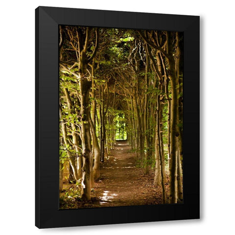 Secret Garden III Black Modern Wood Framed Art Print with Double Matting by Millet, Karyn