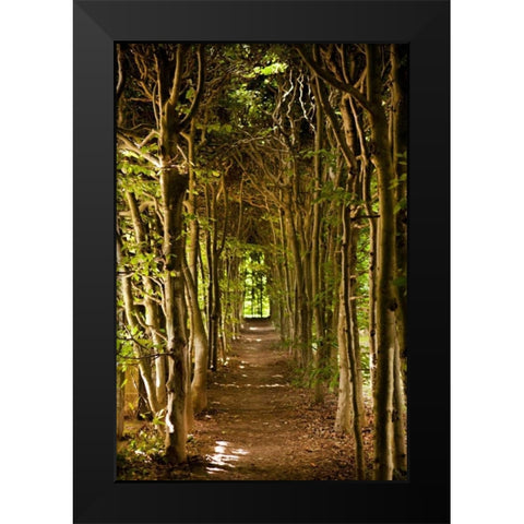Secret Garden III Black Modern Wood Framed Art Print by Millet, Karyn