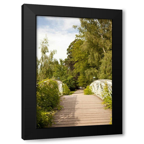 Secret Garden IV Black Modern Wood Framed Art Print with Double Matting by Millet, Karyn