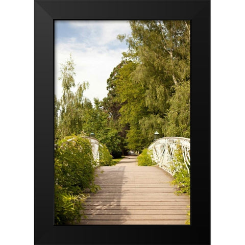Secret Garden IV Black Modern Wood Framed Art Print by Millet, Karyn