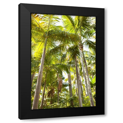Tropical Oasis I Black Modern Wood Framed Art Print with Double Matting by Millet, Karyn