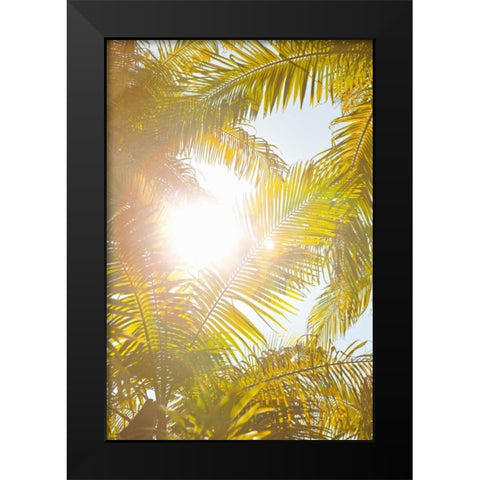 Tropical Oasis II Black Modern Wood Framed Art Print by Millet, Karyn