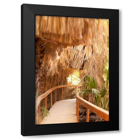 Palm Pathway I Black Modern Wood Framed Art Print by Millet, Karyn