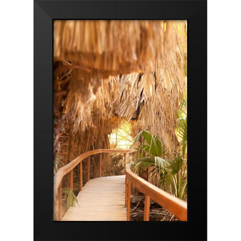 Palm Pathway I Black Modern Wood Framed Art Print by Millet, Karyn