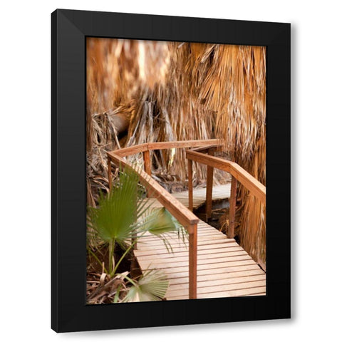 Palm Pathway II Black Modern Wood Framed Art Print with Double Matting by Millet, Karyn