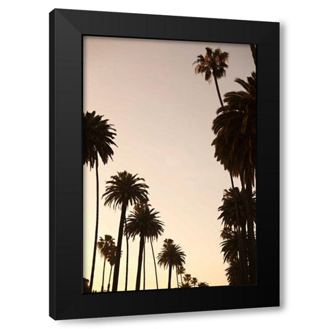 Tropical Silhouette I Black Modern Wood Framed Art Print with Double Matting by Millet, Karyn