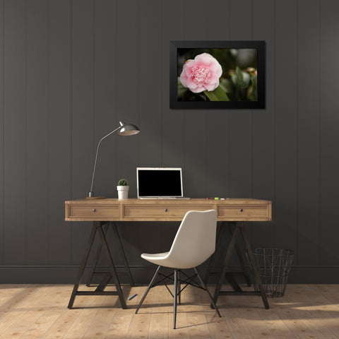 Macro Bloom V Black Modern Wood Framed Art Print by Millet, Karyn