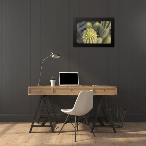 Cactus I Black Modern Wood Framed Art Print by Millet, Karyn